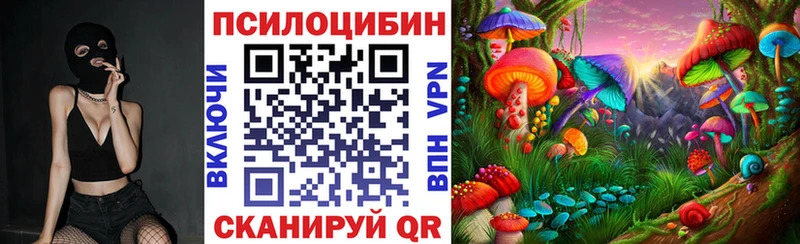 Купить  Тайшет  Псилоцибиновые грибы Magic Shrooms 